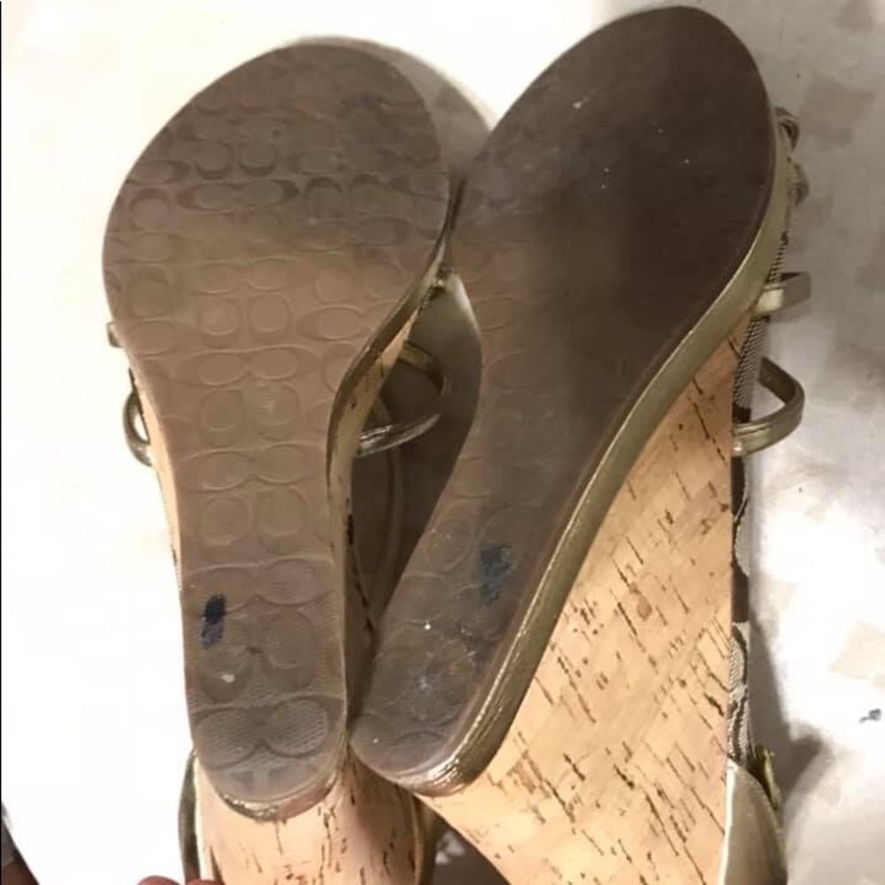 Coach Platforms - image 3